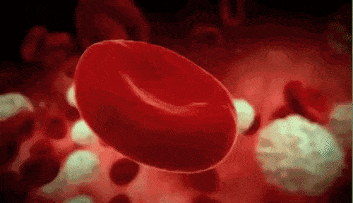 缺铁的人抑郁风险更高