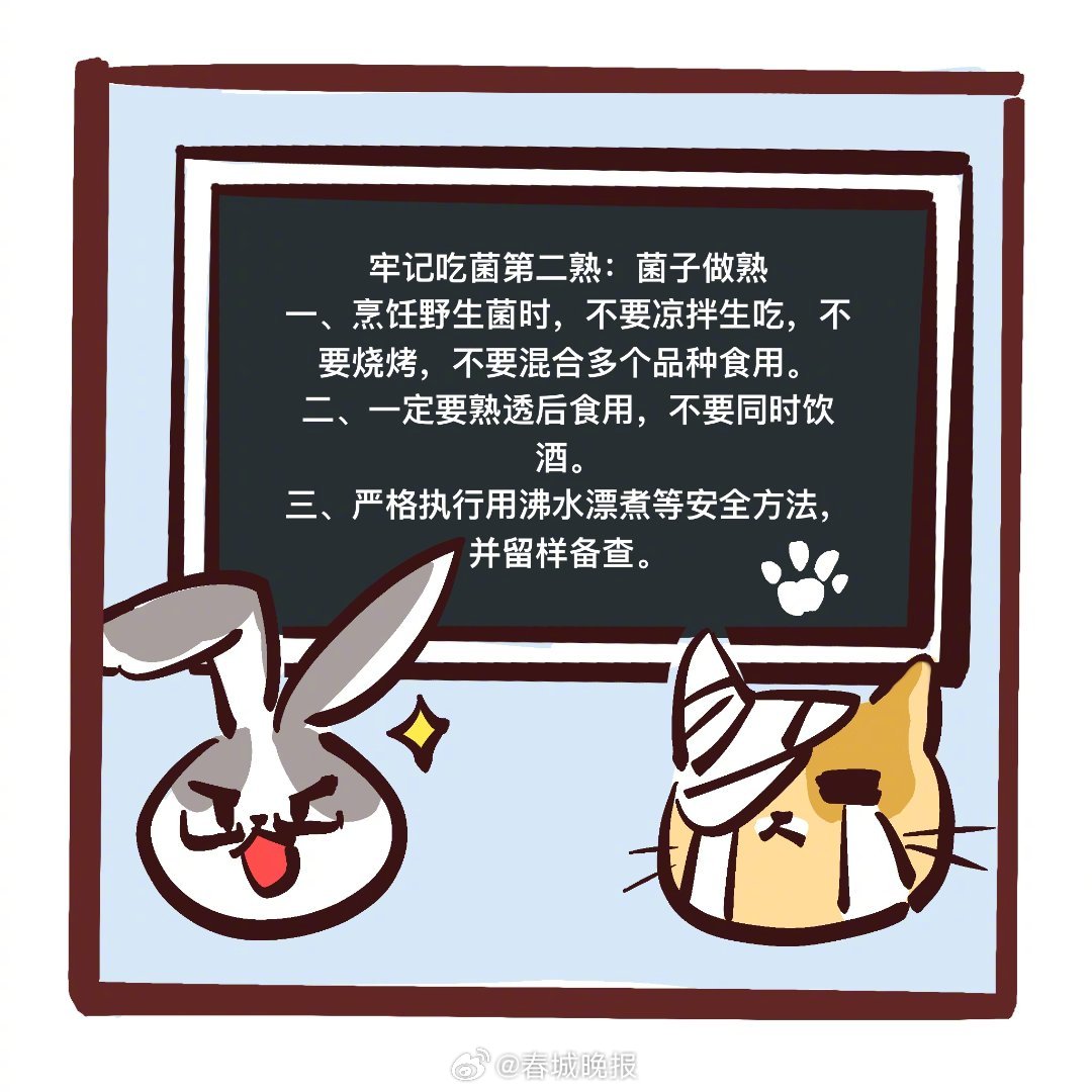 春城晚报