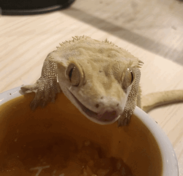 云南野生动物园