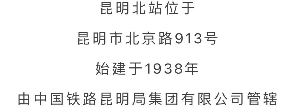 微观盘龙