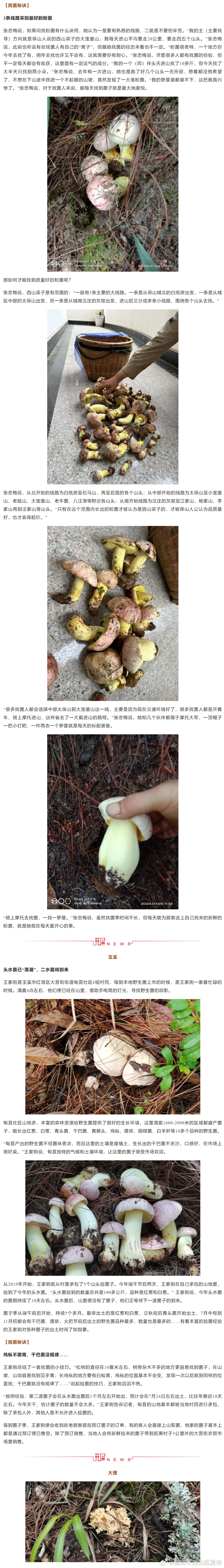 昆明市西山区发布
