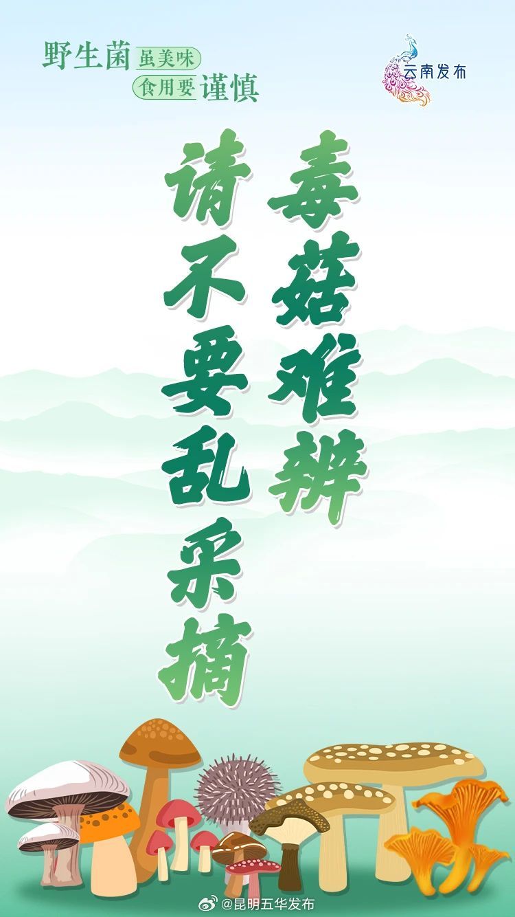 昆明五华发布