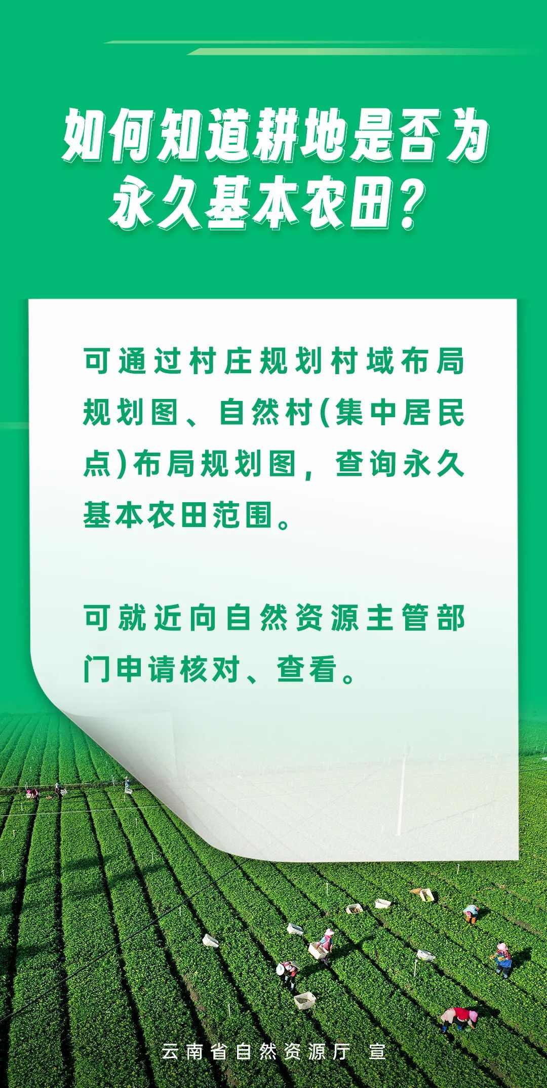 宜良之窗