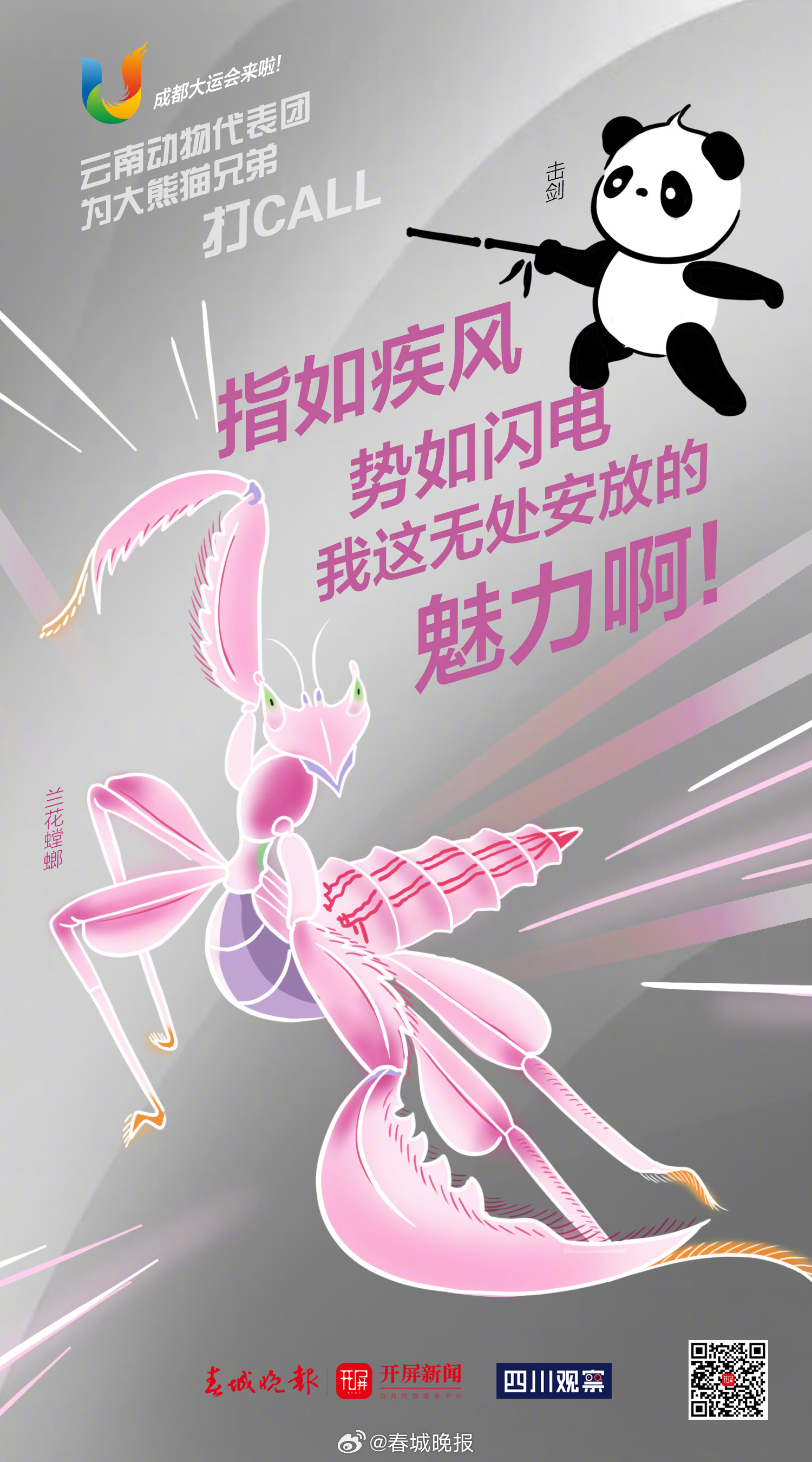 春城晚报
