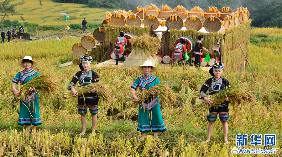 有一种叫云南的生活 此夏“云”游，在节日里“燃爆”夏日⑥