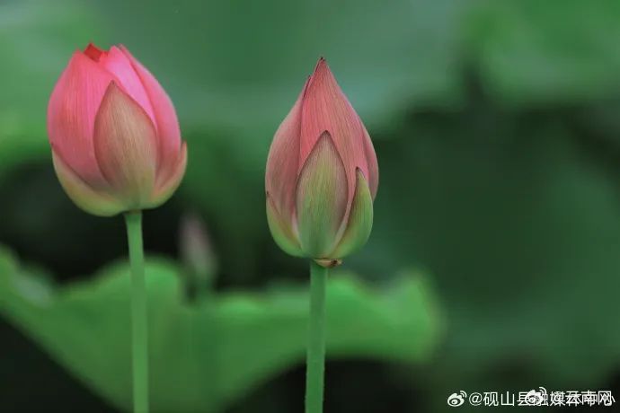 云南省文化和旅游厅