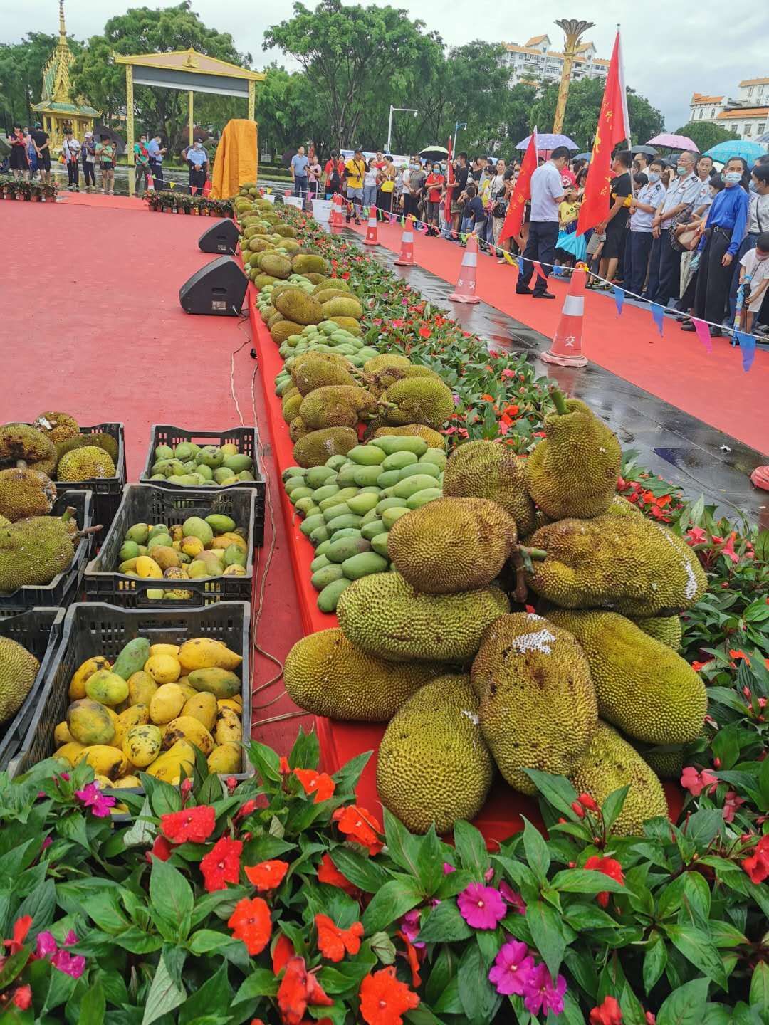 云南省文化和旅游厅