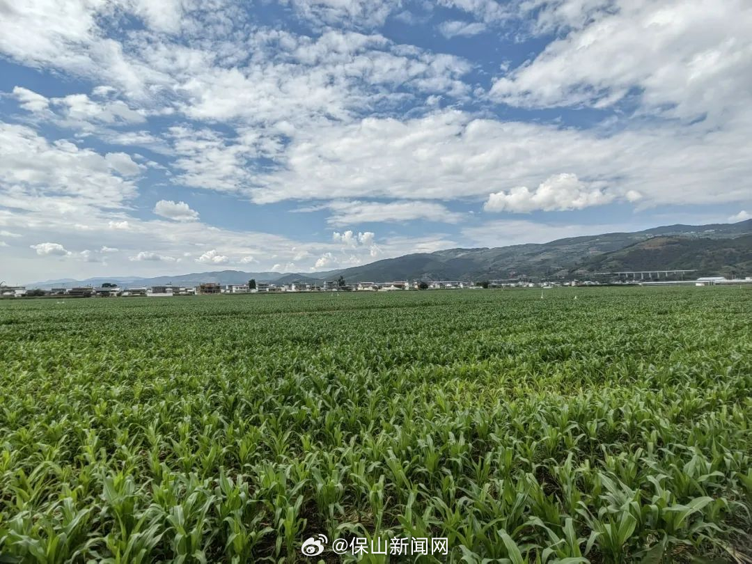 保山新闻网