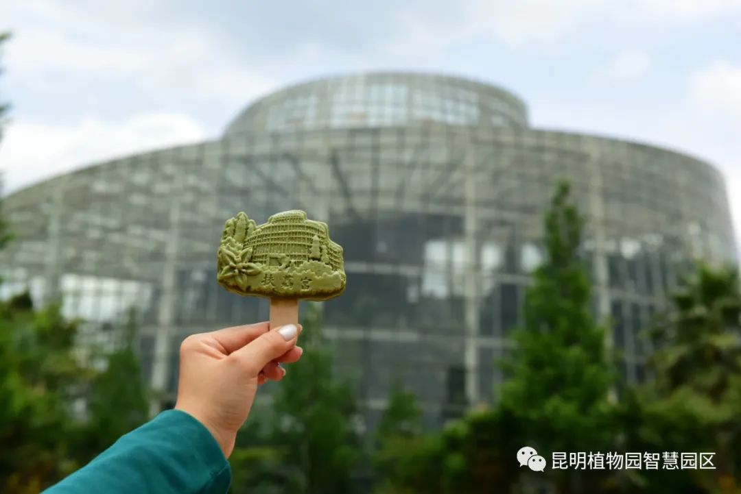 微观盘龙