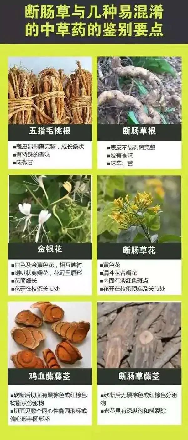 掌上春城微信