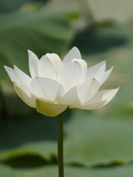 晋宁诗意的栖居地