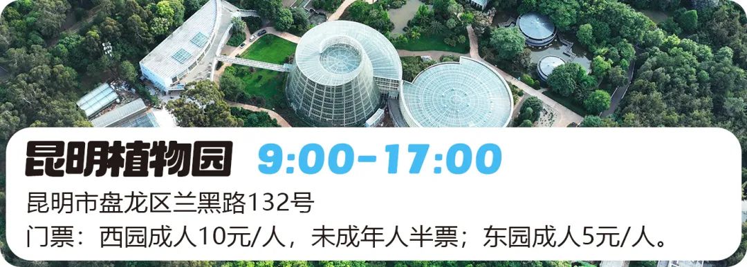 微观盘龙