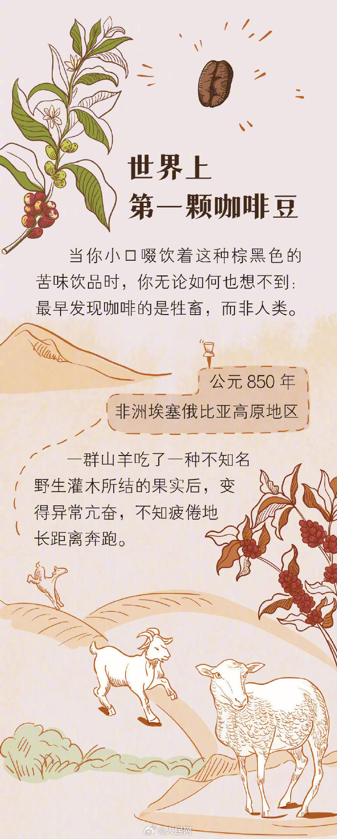 人民网