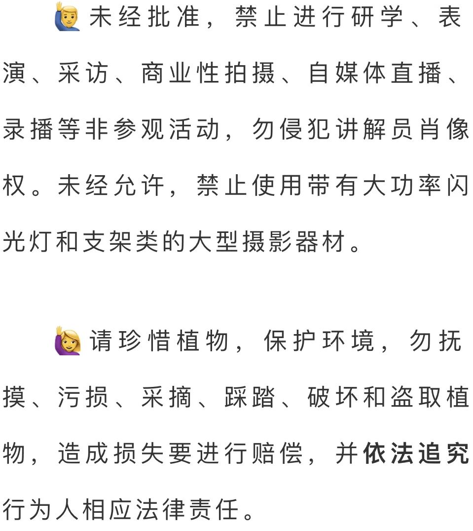 微观盘龙