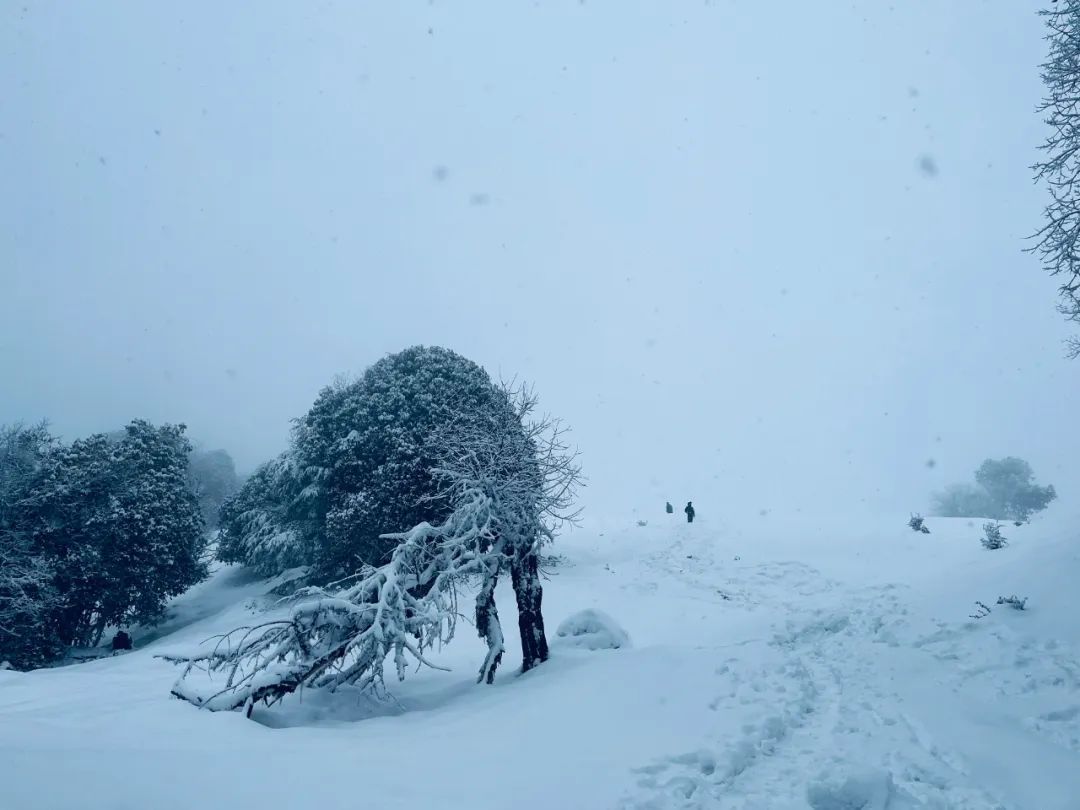 云南省文化和旅游厅