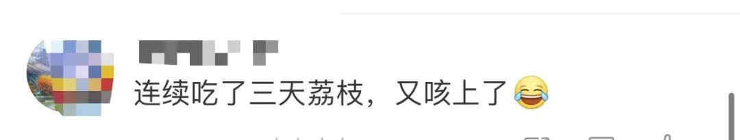 掌上春城微信