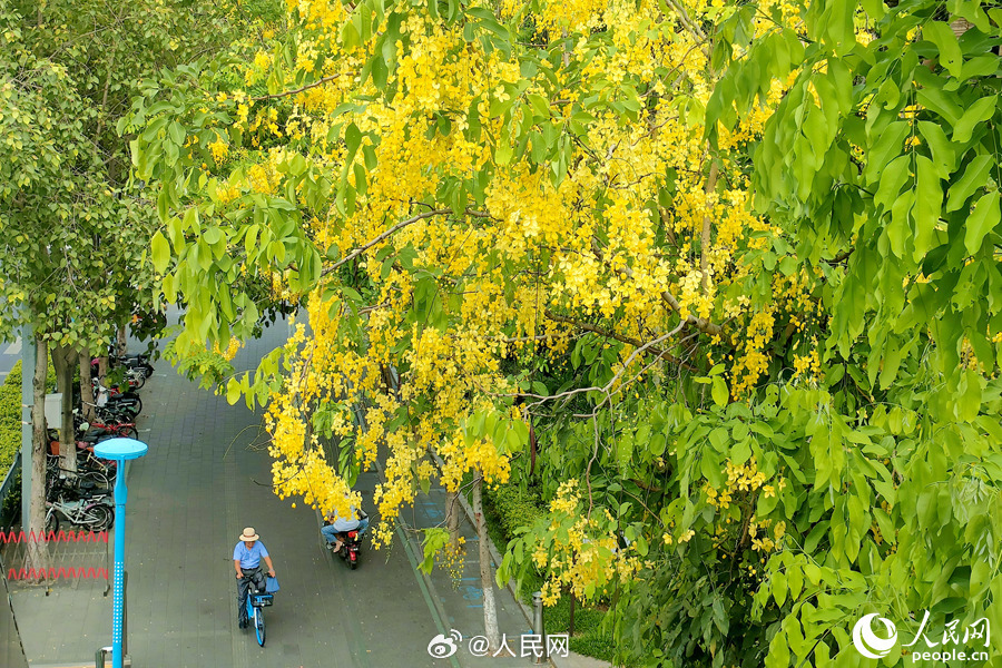 人民网