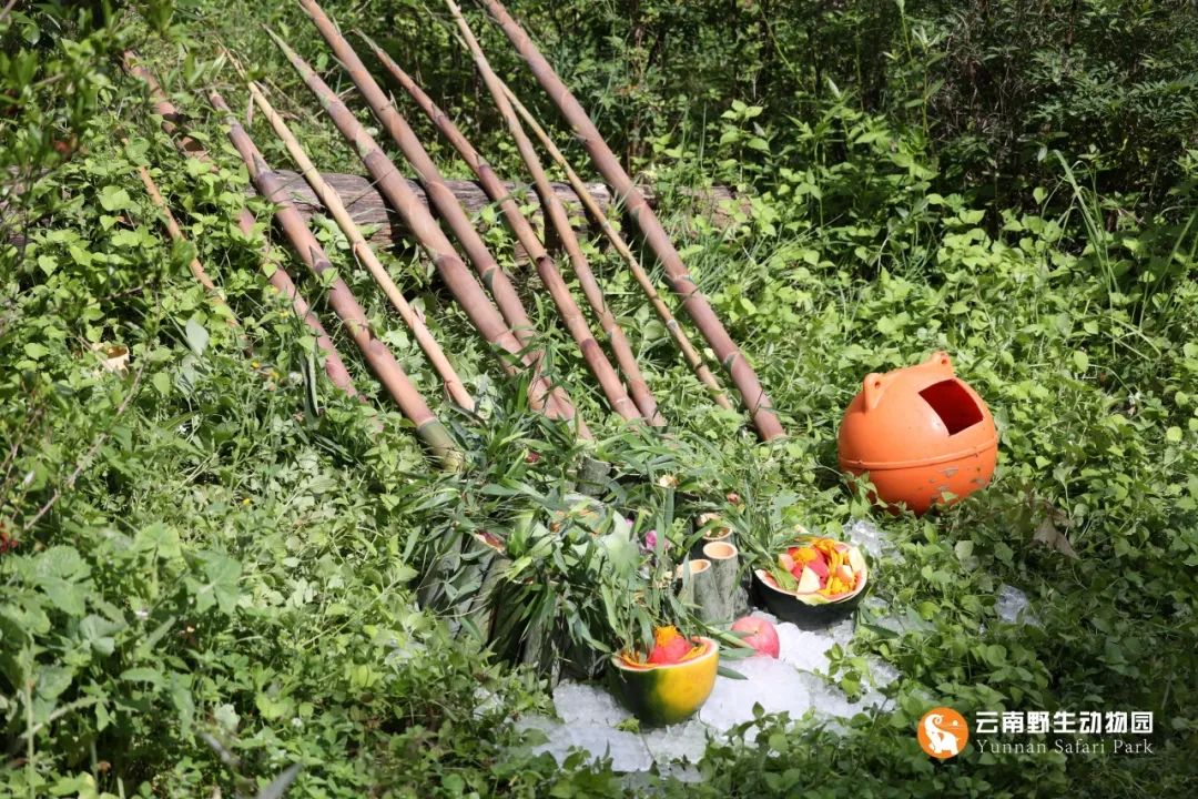 云南野生动物园