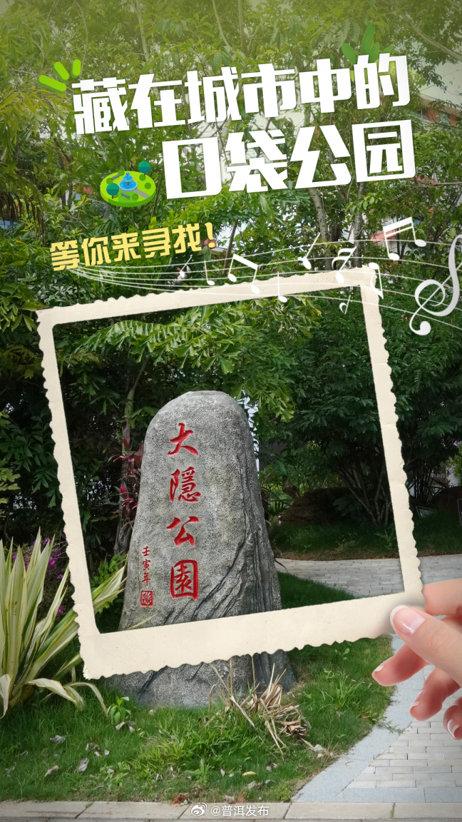 普洱发布