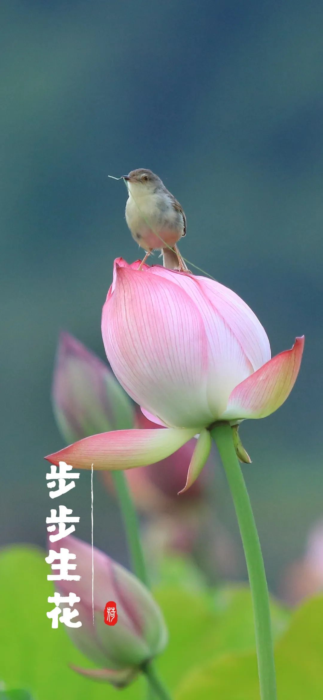 云南省文化和旅游厅