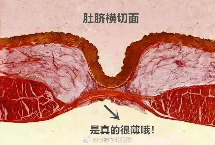 昆明五华发布