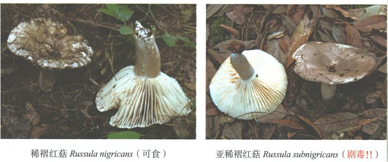 云南疾控