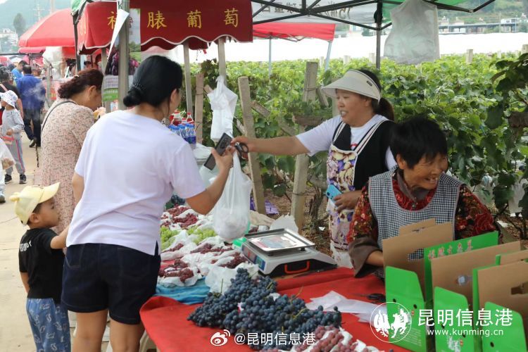 昆明信息港微博
