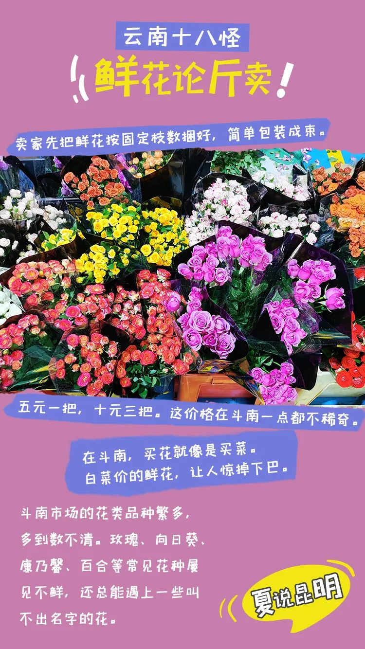 昆明文旅