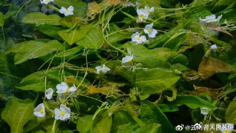 呈贡发布