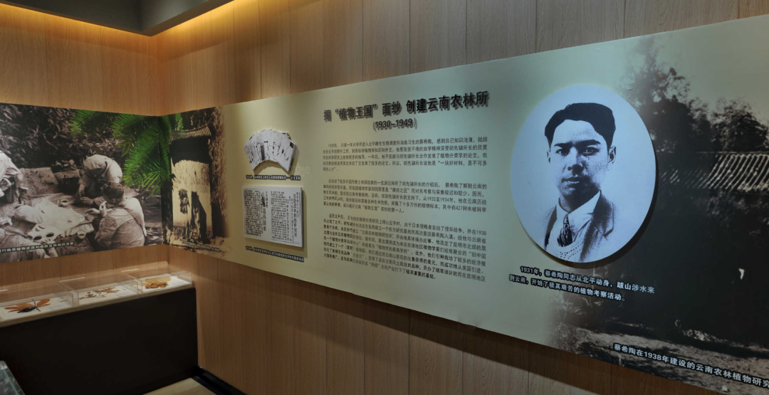 美丽云南微科普