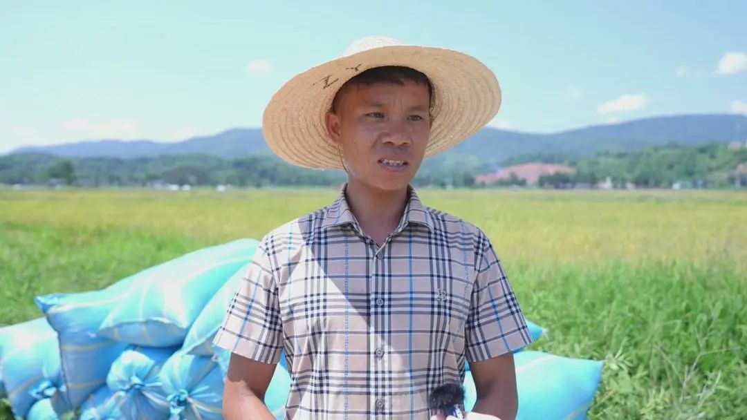 西双版纳先锋