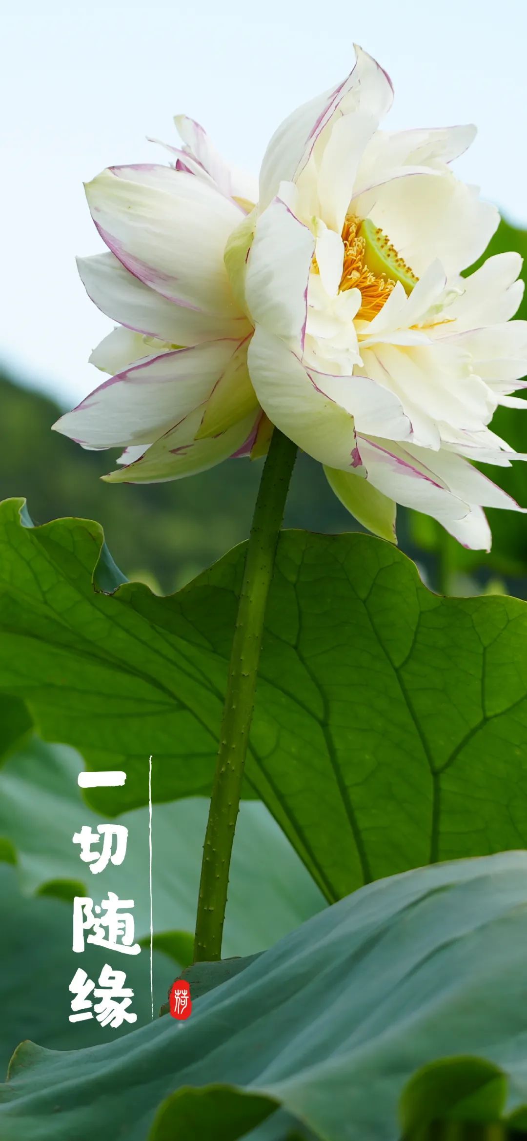 云南省文化和旅游厅