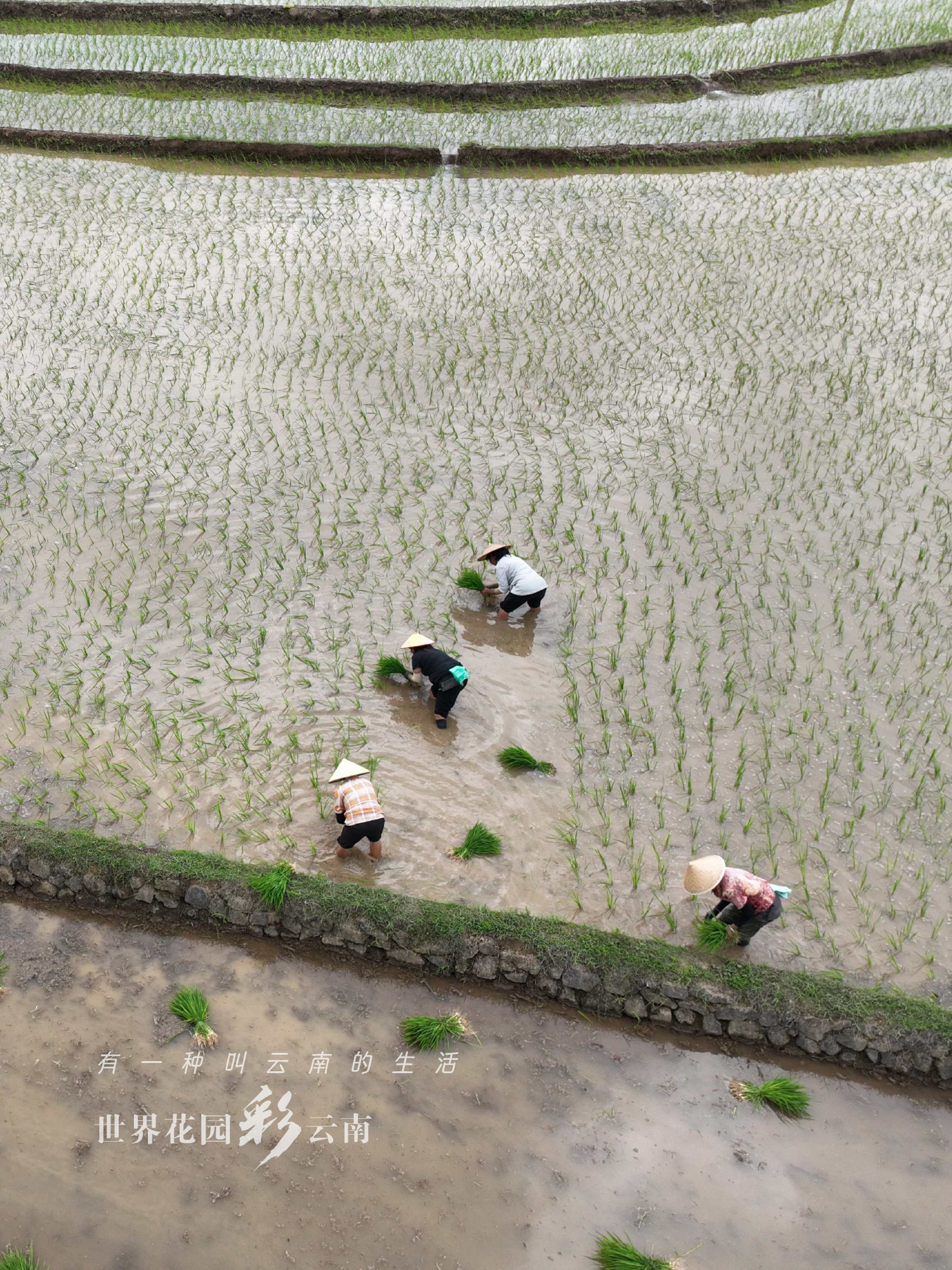 云南省文化和旅游厅