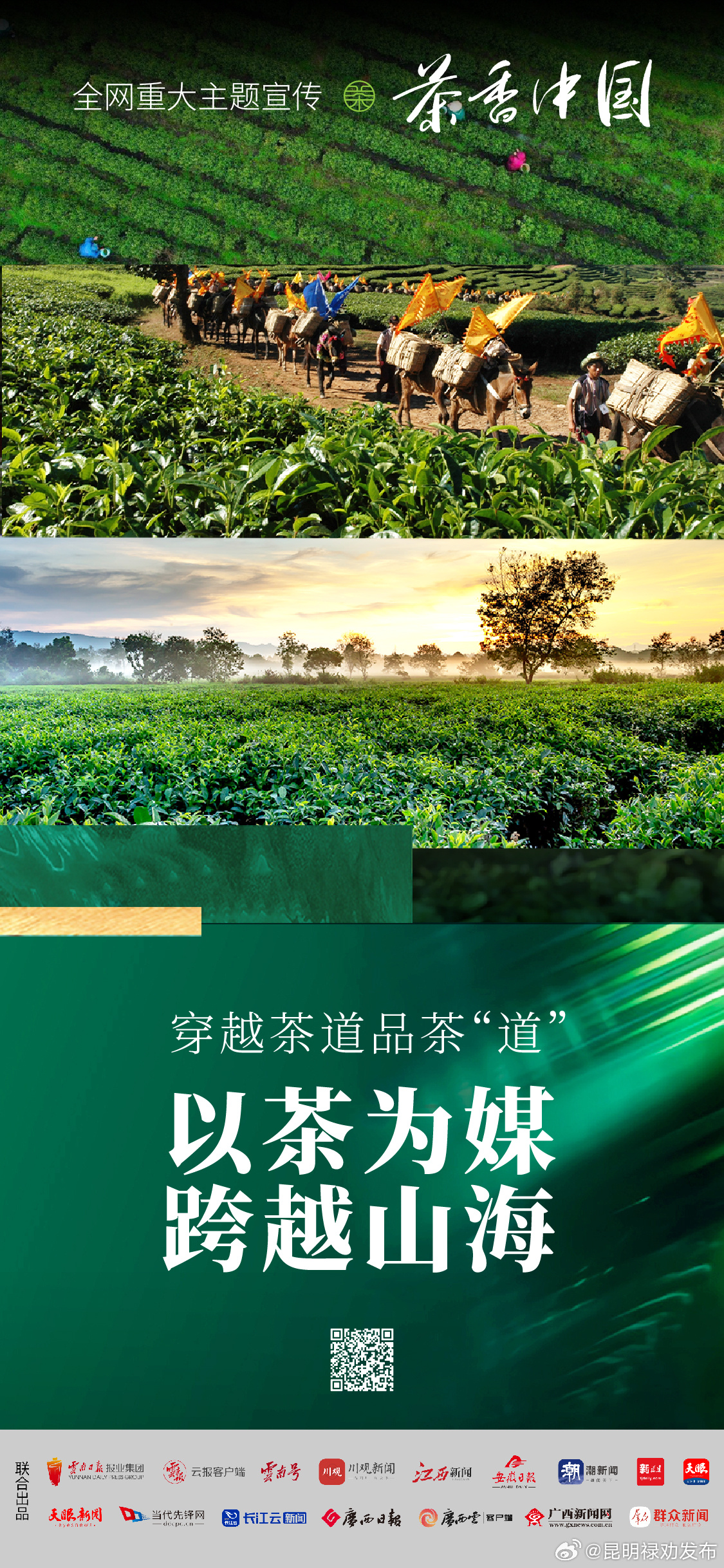 跟随云南和江西古道品茶丨茶香中国•穿越茶道品茶“道”②
