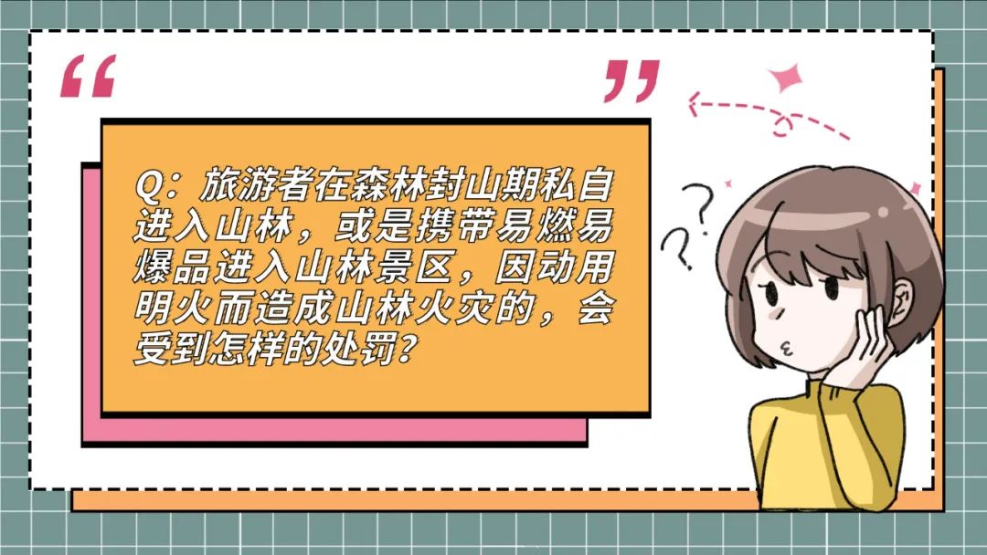 云南政法