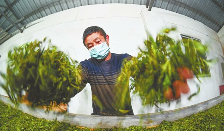 云南省文化和旅游厅