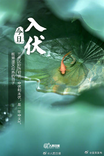 呈贡发布