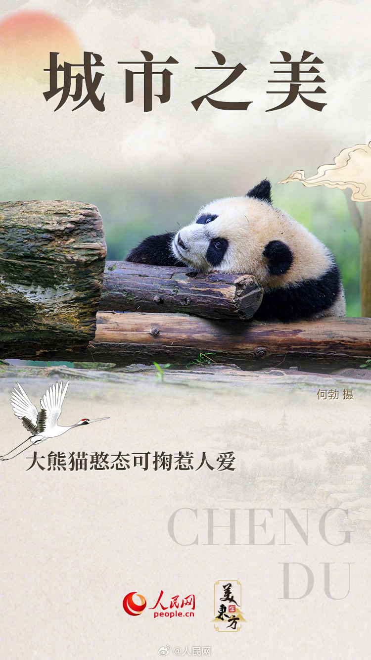 人民网