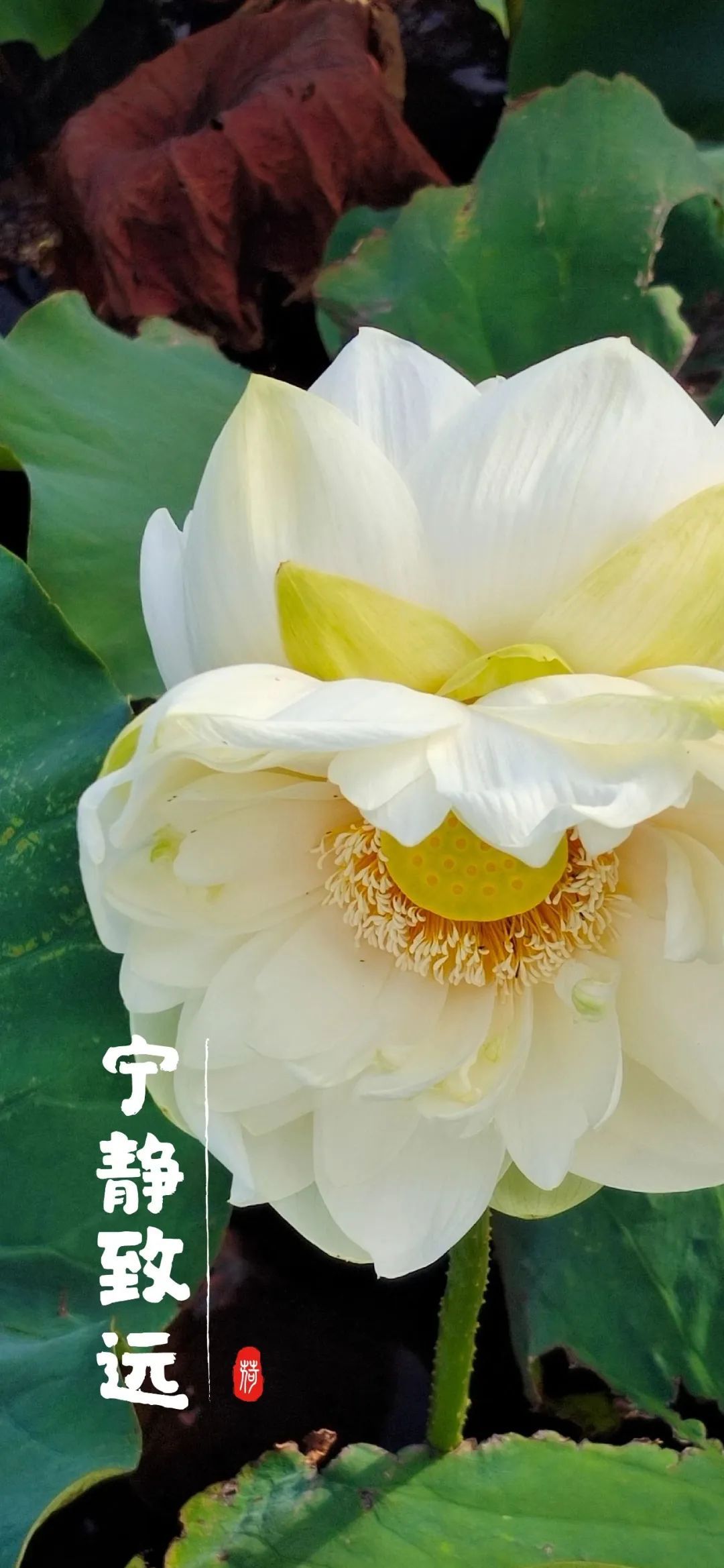 云南省文化和旅游厅