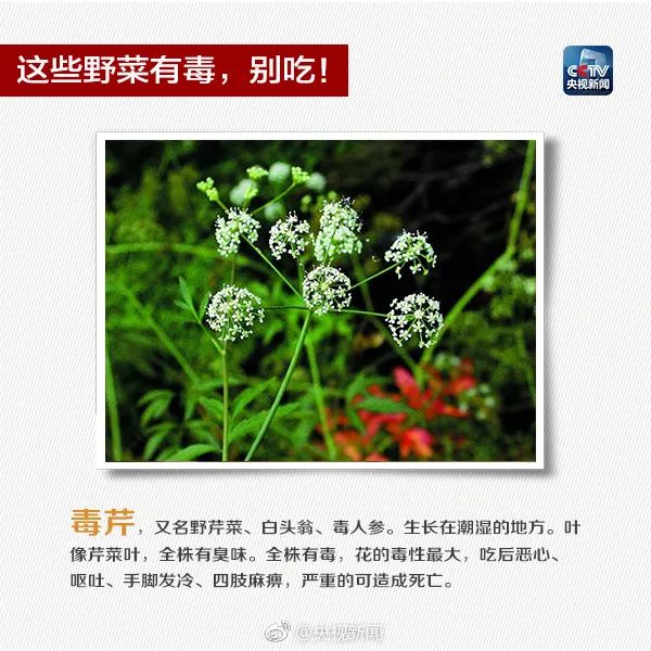 掌上春城微信