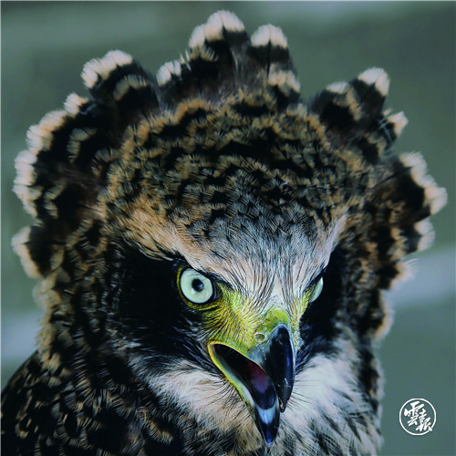 云南省文化和旅游厅