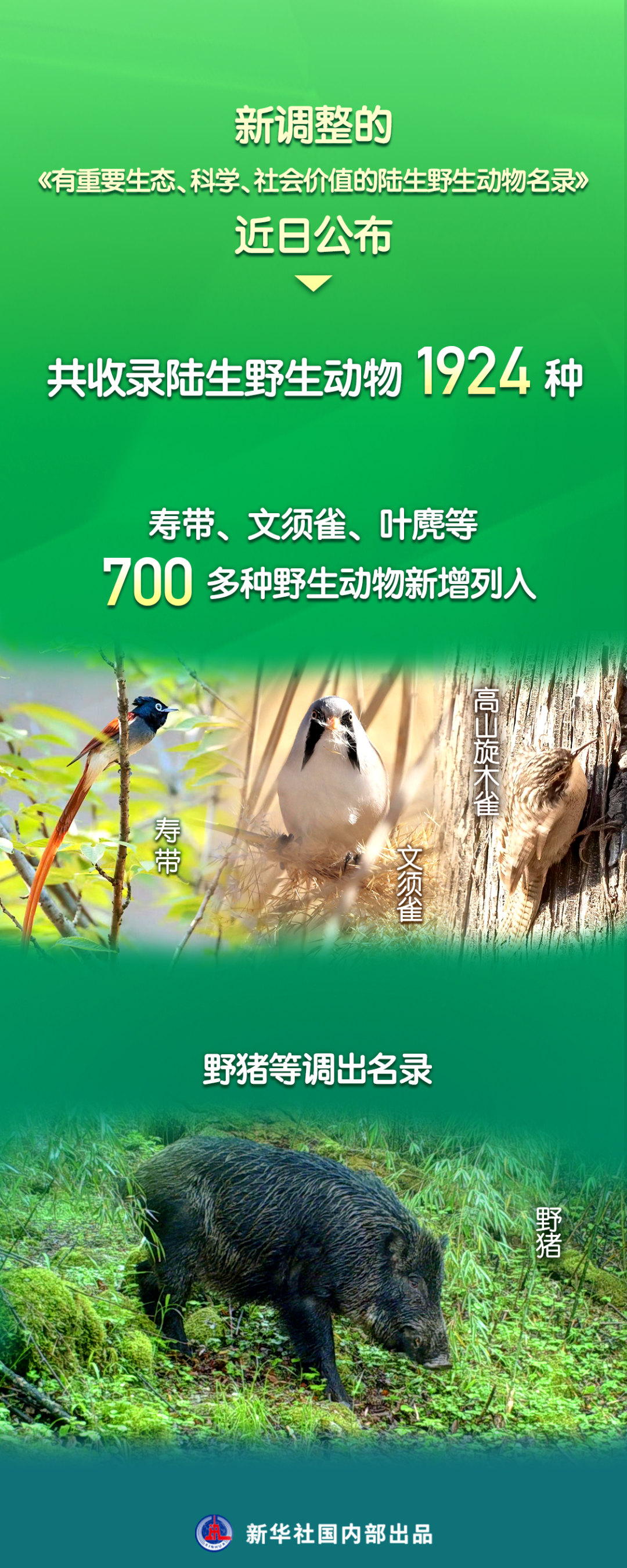 918云南交通台