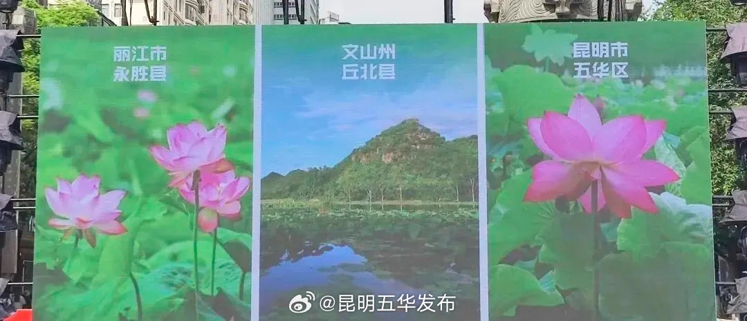 昆明五华发布