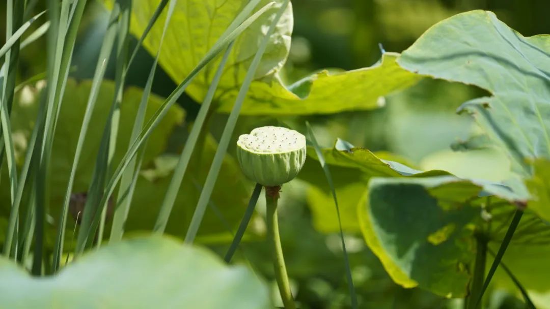 晋宁诗意的栖居地