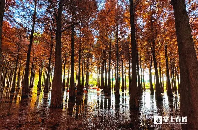 晋宁诗意的栖居地