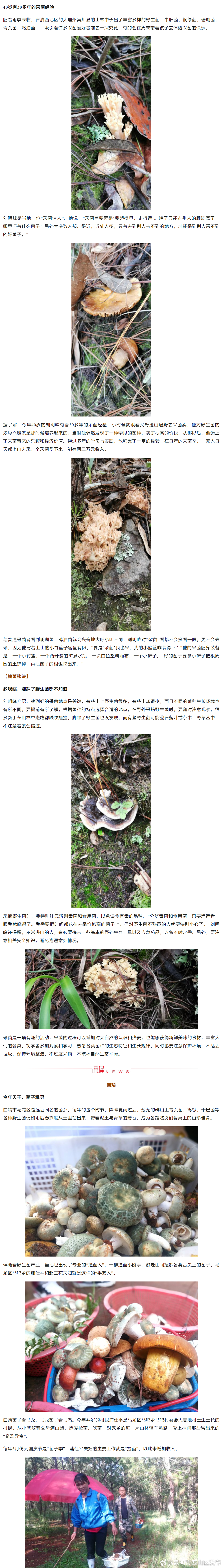 昆明市西山区发布