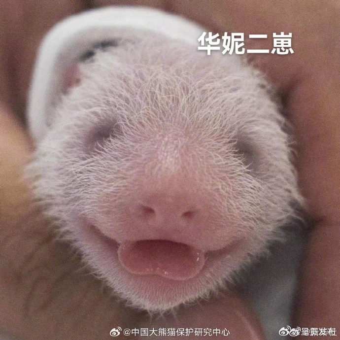 呈贡发布