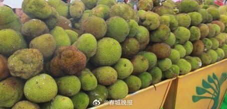 春城晚报