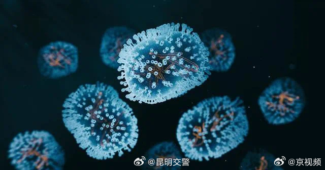 如何预防猴痘感染？戴口罩有用吗？专家提示——