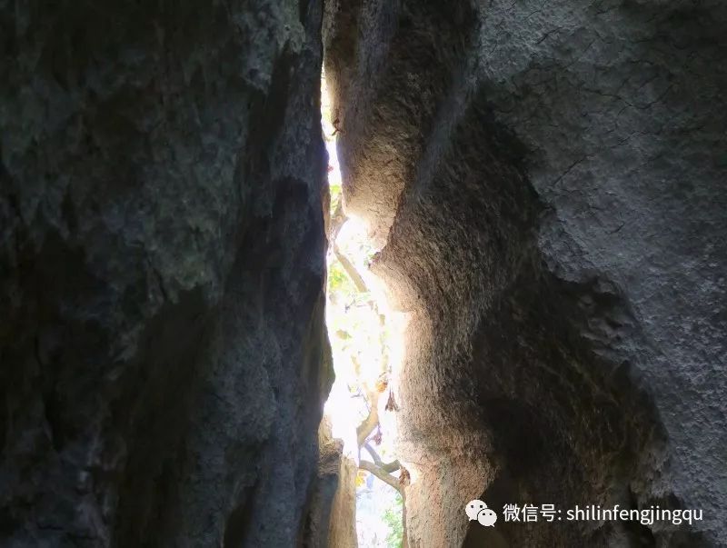 石林融媒